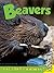 Beavers (Backyard Animals)