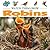 Robins (Watch Them Grow)