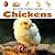 Chickens by Judy Wearing