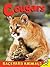 Cougars (Backyard Animals)