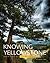 Knowing Yellowstone