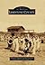 Limestone County (Images of America: Texas)