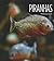 Piranhas