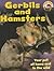 Gerbils and Hamsters (Pets Plus)
