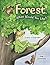 Forest, What Would You Like?