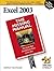 Excel 2003: The Missing Manual