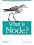What Is Node?