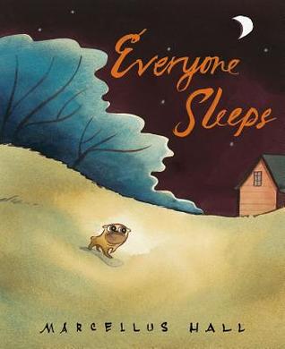 Everyone Sleeps (Hardcover)