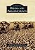 Helena and Phillips County (Images of America: Arkansas)