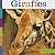 Giraffes (Seedlings)