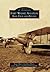 Fort Wayne Aviation: Baer Field and Beyond, Indiana (Images of Aviation)