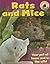 Rats and Mice (Pets Plus)