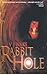 Rabbit Hole by V.J. Waks