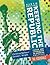 Keeping the Republic: Power and Citizenship in American Politics: The Essentials