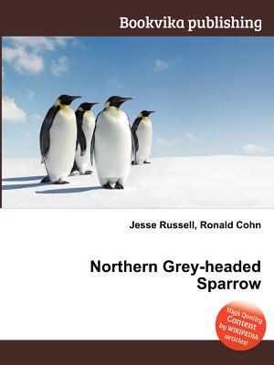 Northern Grey-Headed Sparrow