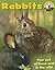 Rabbits (Pets Plus)