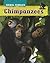 Chimpanzees