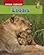 Lions (Animal Families)
