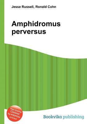 Amphidromus Perversus