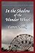 In the Shadow of the Wonder Wheel by Carren Strock
