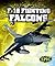 F-16 Fighting Falcons (Epic Books: Military Vehicles)