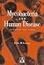 Mycobacteria and Human Disease