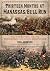 Thirteen Months at Manassas...