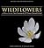 Wildflowers of Nova Scotia, New Brunswick & Prince Edward Island: Revised and Expanded Edition