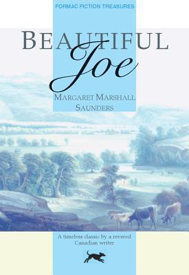 Beautiful Joe (Fiction Treasures)