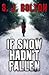If Snow Hadn't Fallen (Lace...