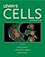 Lewin's Cells