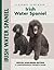 Irish Water Spaniel