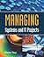 Managing Systems and It Projects by Frank Tsui