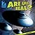 Are UFOs Real?
