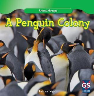 A Penguin Colony (Animal Groups)