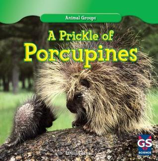 A Prickle of Porcupines (Animal Groups)