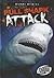 Bull Shark Attack