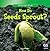 How Do Seeds Sprout? by Evan Rhodes