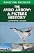 The Avro Arrow: A Picture History (Amazing Stories)
