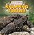 Snapping Turtles