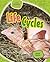 Life Cycles (Life Science Stories)