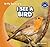 I See A Bird (In My Backyard)