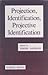 Projection, Identification, Projective Identification