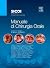 Manuale Di Chirurgia Orale