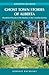 Ghost Town Stories of Alberta: Abandoned Dreams in the Shadows of the Canadian Rockies (Amazing Stories)