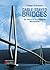 Cable-Stayed Bridges: 40 Ye...
