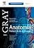 Anatomia. Podręcznik Dla St...