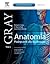 Anatomia. Podręcznik Dla St...