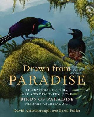 Drawn from Paradise: The Natural History, Art and Discovery of the Birds of Paradise with Rare Archival Art (Hardcover)