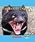 Tasmanian Devils (Nature's Children)